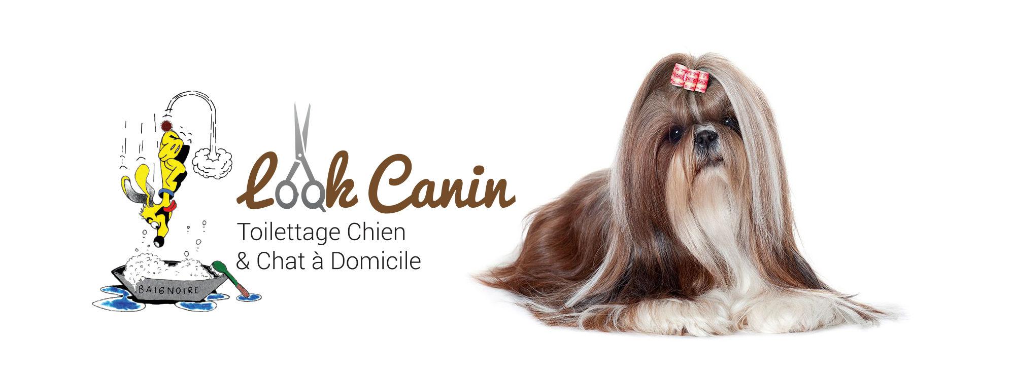Look Canin Checy Toilettage A Domicile Toiletteur Chien Toilettage Chat Toiletteur Canin Orleans Checy Olivet Ingre Mardie 45